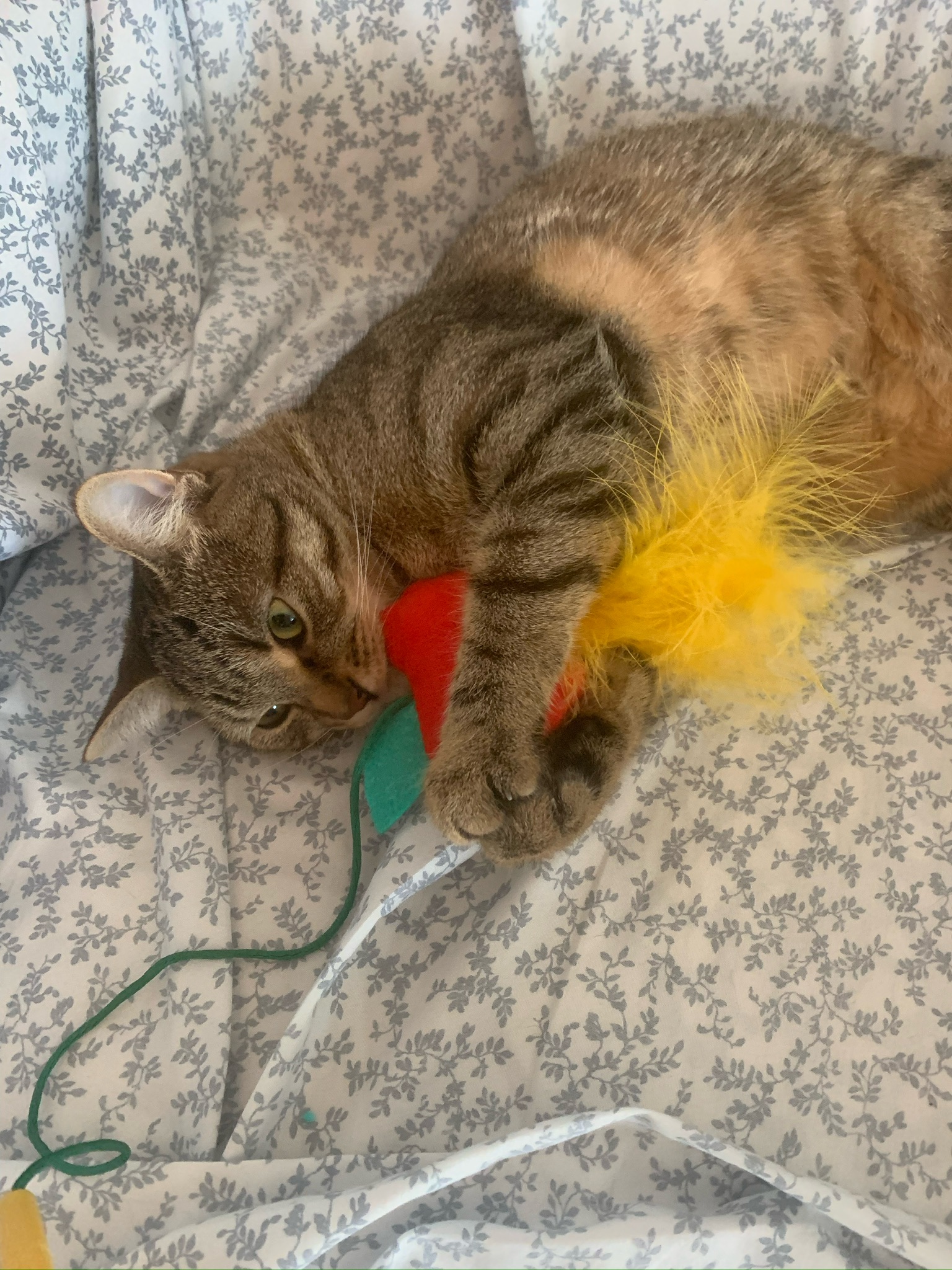 Holding on dearly to her apple toy