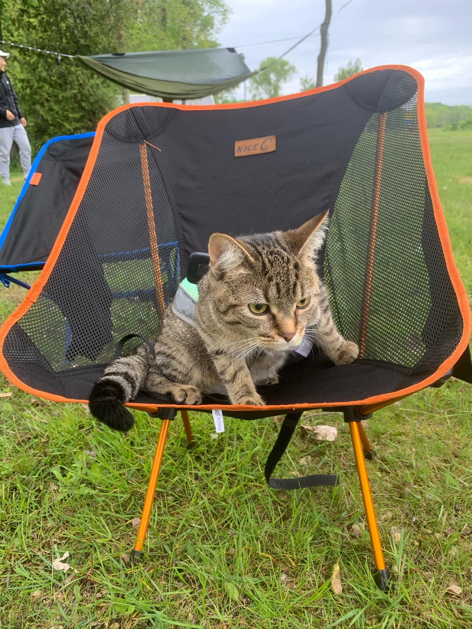 Kitkat: "Can't you get something more comfortable?"