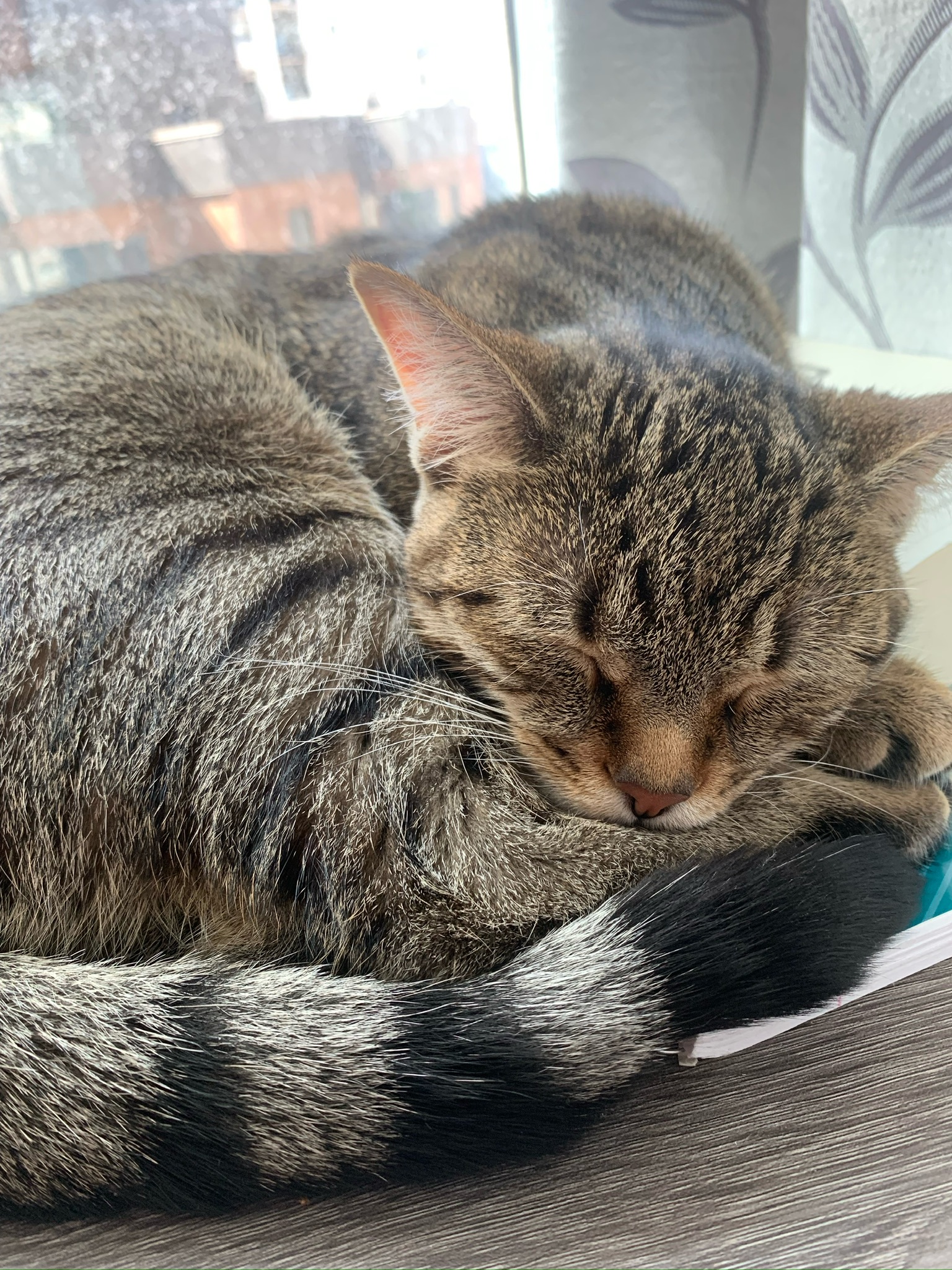 Sleeping beauty