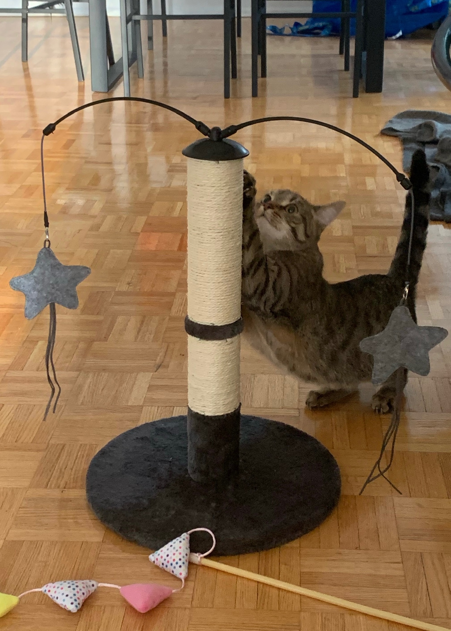 First toy