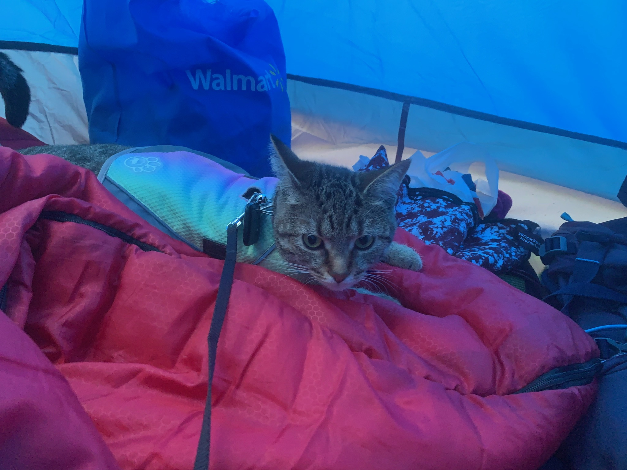 First time going camping
