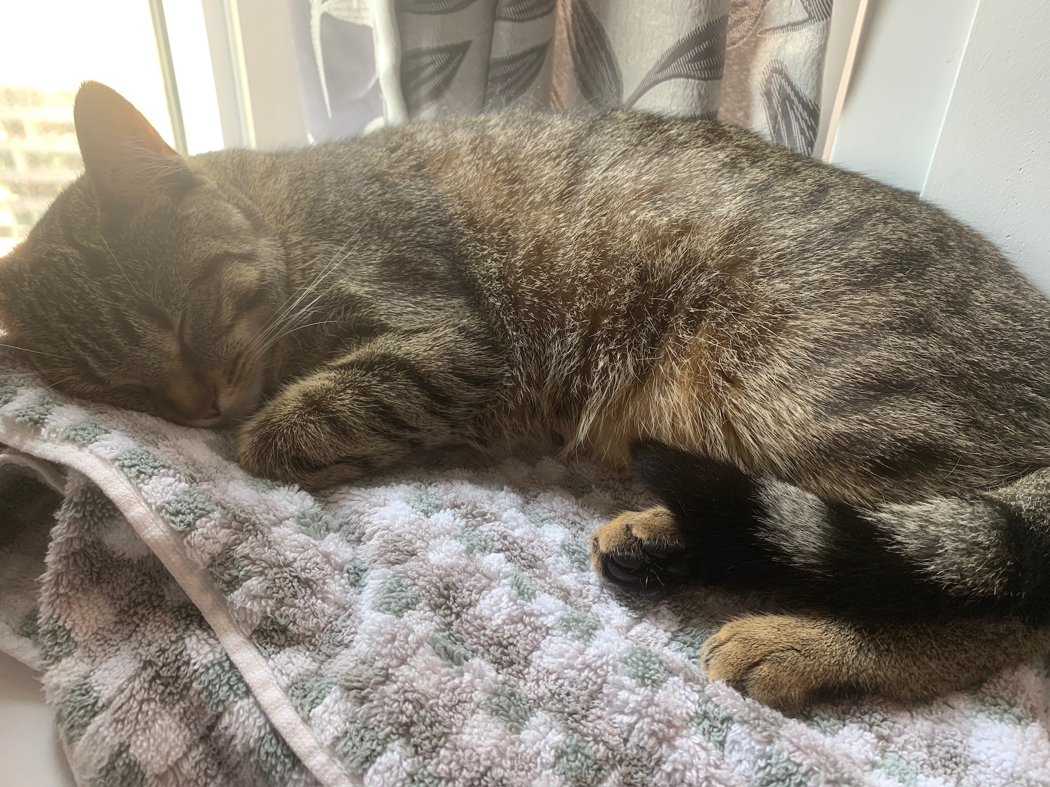 Nothing better than an afternoon nap on a towel