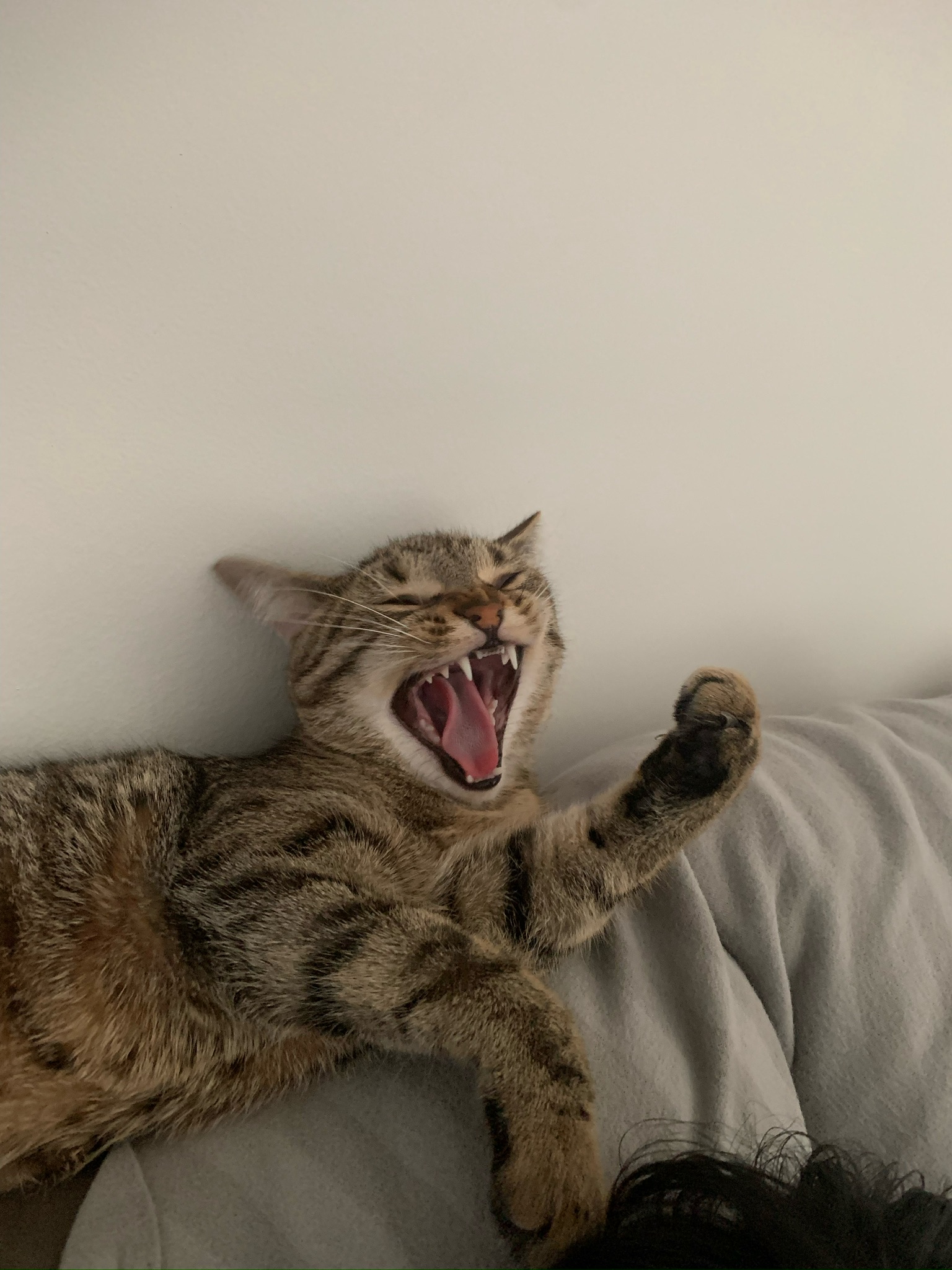 I AM TIRED